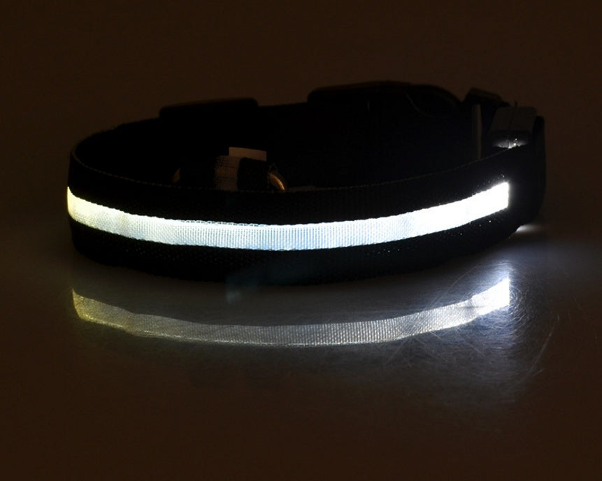 LED Nylon Pet Collar – Adjustable, Glowing Night Safety Leash
