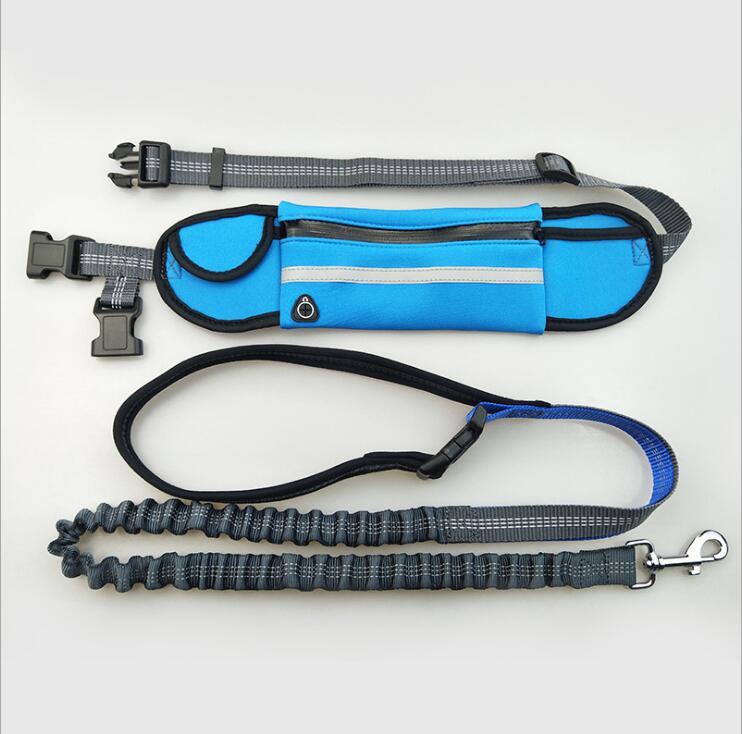 Running Dog Leash – Shock Absorbing & Adjustable