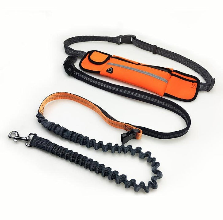 Running Dog Leash – Shock Absorbing & Adjustable