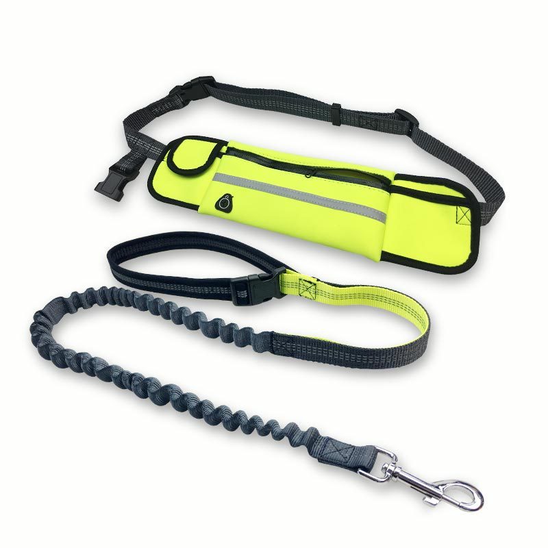 Running Dog Leash – Shock Absorbing & Adjustable