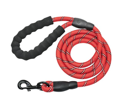 Nylon Dog Leash for Walking & Training