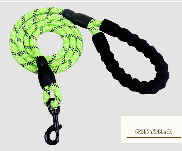 Nylon Dog Leash for Walking & Training