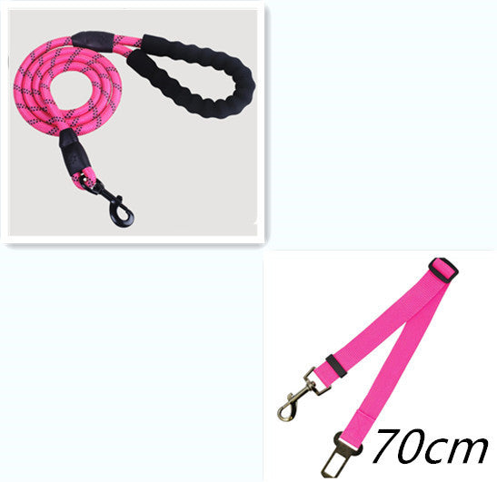 Nylon Dog Leash for Walking & Training