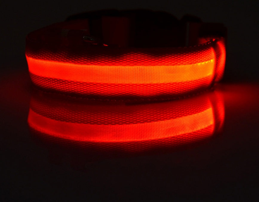LED Nylon Pet Collar – Adjustable, Glowing Night Safety Leash