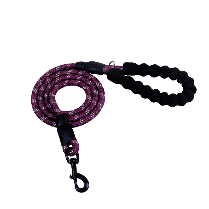 Nylon Dog Leash for Walking & Training
