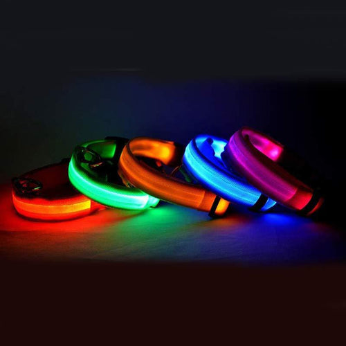 LED Nylon Pet Collar – Adjustable, Glowing Night Safety Leash