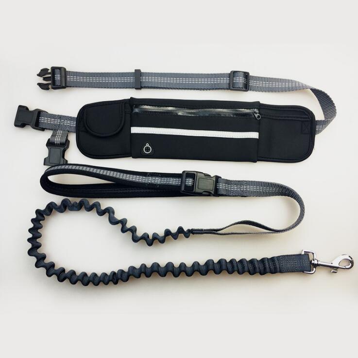 Running Dog Leash – Shock Absorbing & Adjustable