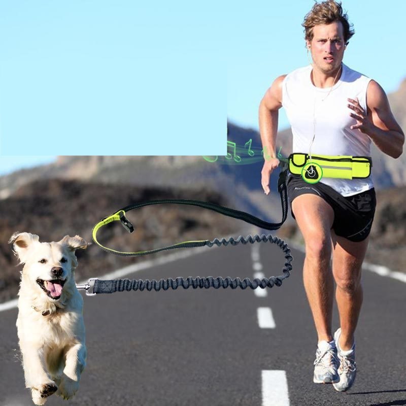 Running Dog Leash – Shock Absorbing & Adjustable