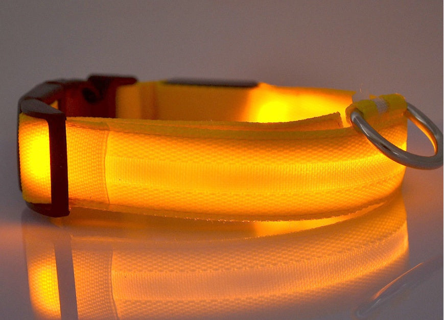 LED Nylon Pet Collar – Adjustable, Glowing Night Safety Leash