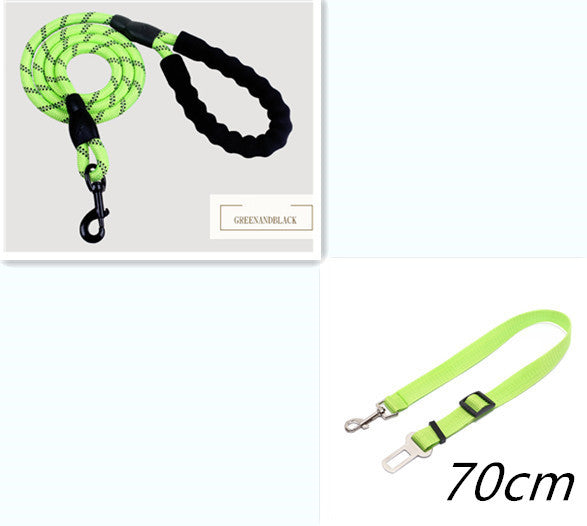 Nylon Dog Leash for Walking & Training