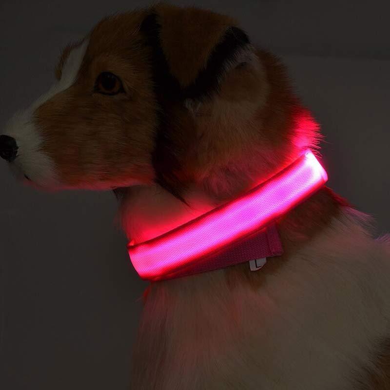 LED Nylon Pet Collar – Adjustable, Glowing Night Safety Leash