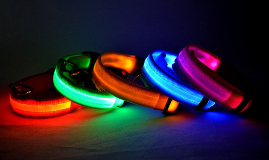 LED Nylon Pet Collar – Adjustable, Glowing Night Safety Leash
