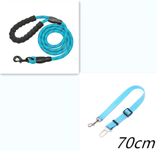 Nylon Dog Leash for Walking & Training