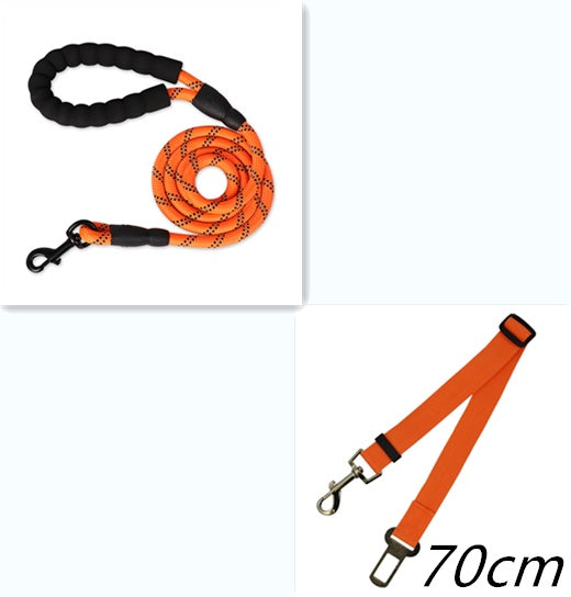Nylon Dog Leash for Walking & Training