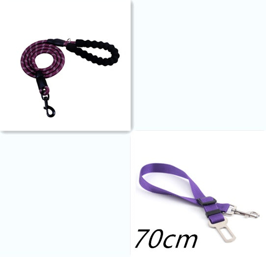 Nylon Dog Leash for Walking & Training
