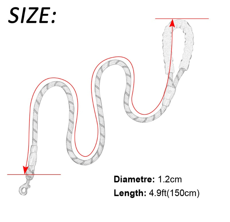 Nylon Dog Leash for Walking & Training