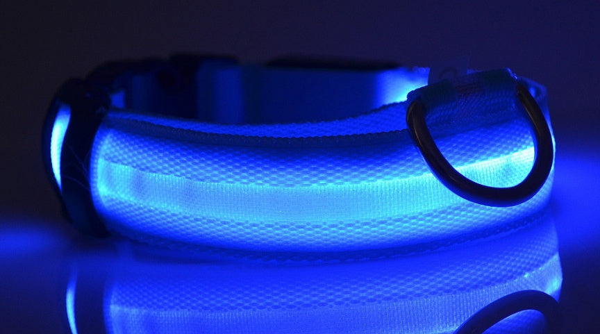 LED Nylon Pet Collar – Adjustable, Glowing Night Safety Leash