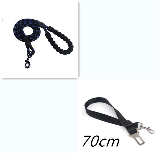 Nylon Dog Leash for Walking & Training