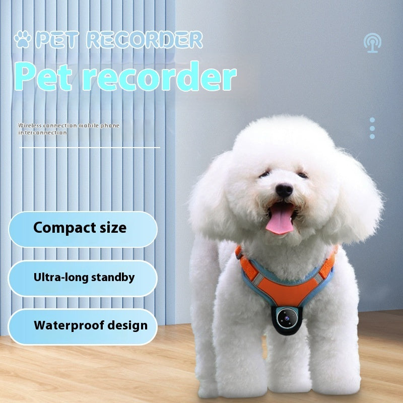 Pet Collar Camera with Motion Recorder