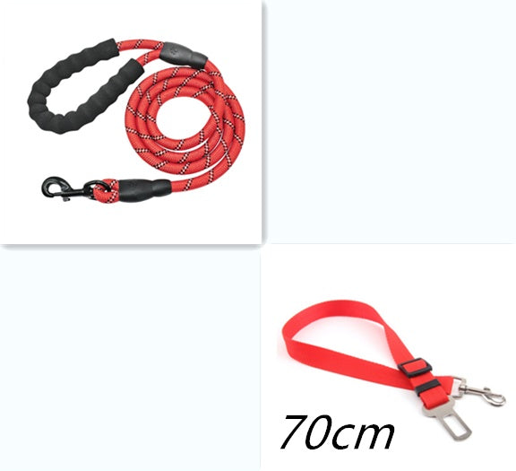 Nylon Dog Leash for Walking & Training