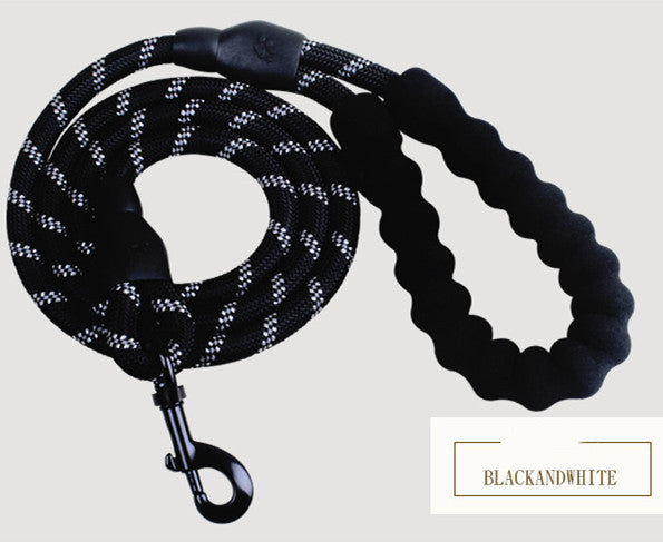 Nylon Dog Leash for Walking & Training