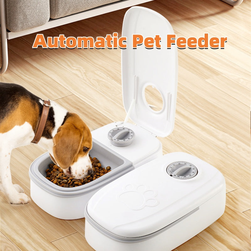 Retractable Dog Leash with Collar – For Small & Medium Pets