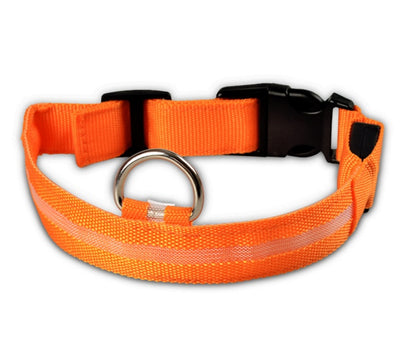 LED Nylon Pet Collar – Adjustable, Glowing Night Safety Leash