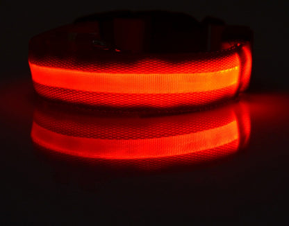 LED Nylon Pet Collar – Adjustable, Glowing Night Safety Leash