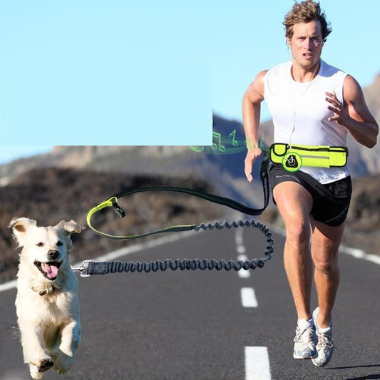 Running Dog Leash – Shock Absorbing & Adjustable