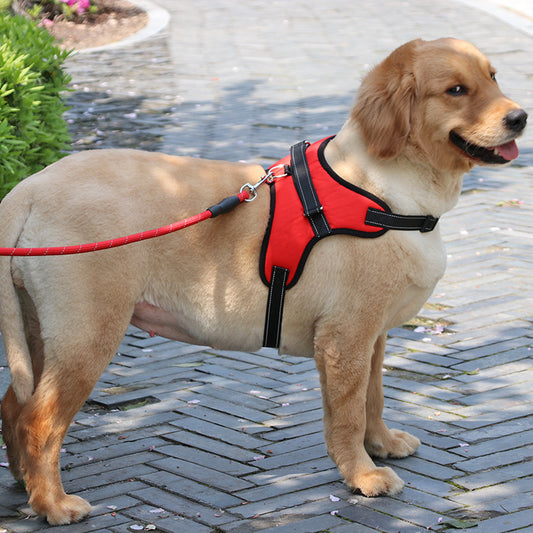 Nylon Reflective Pet Vest for Huskies & More