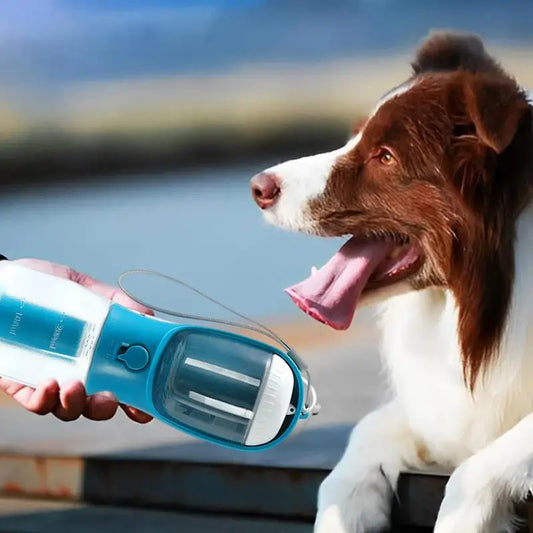 3-in-1 Portable Dog Water Bottle – Feeder & Waste Bag Holder