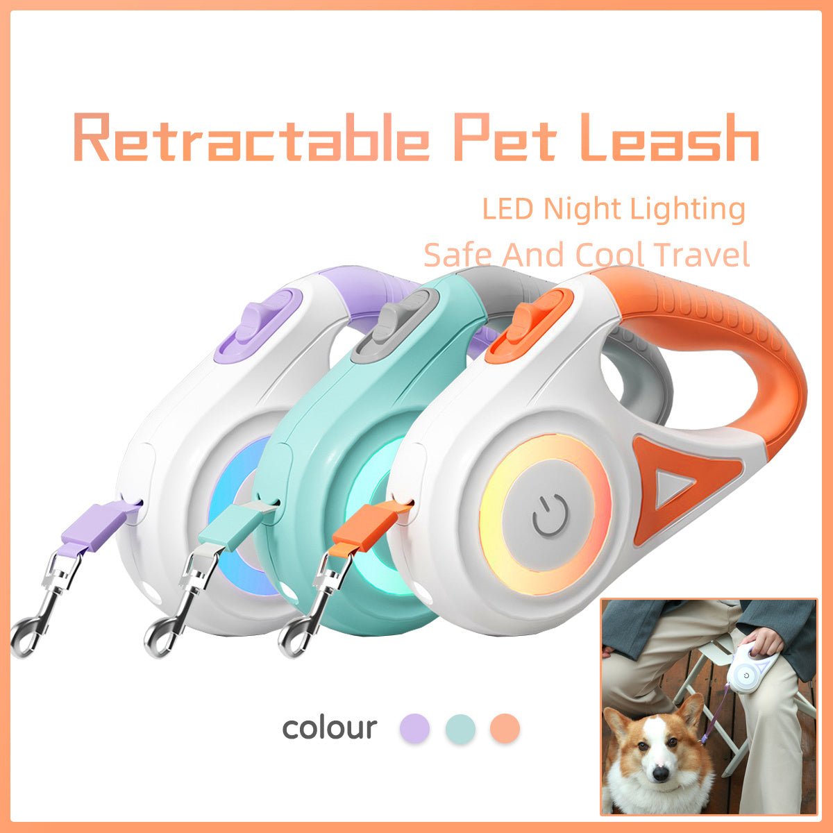 Retractable Dog Leash with Collar – For Small & Medium Pets