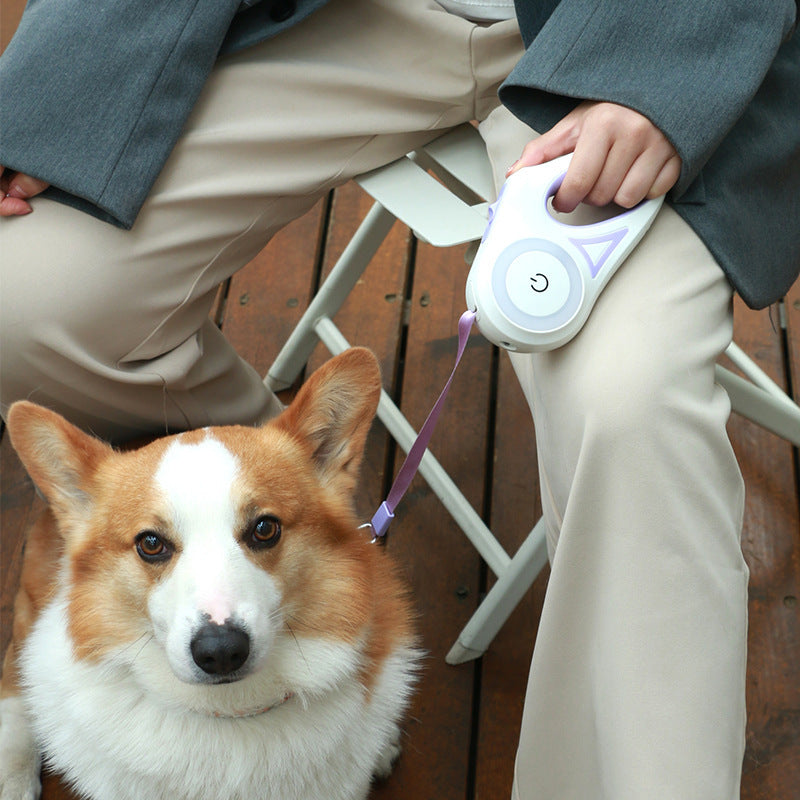 Retractable Dog Leash with Collar – For Small & Medium Pets