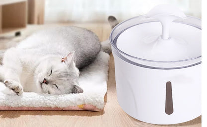 Intelligent Automatic Circulating Pet Water Dispenser