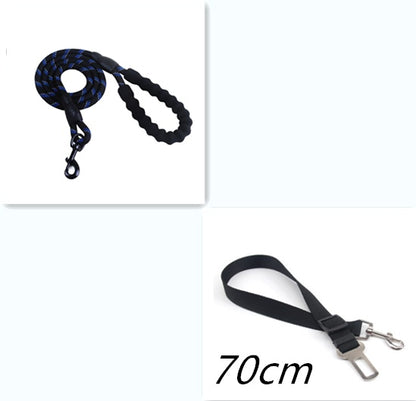 Nylon Dog Leash for Walking & Training