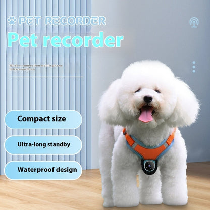 Pet Collar Camera with Motion Recorder