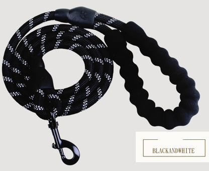 Nylon Dog Leash for Walking & Training