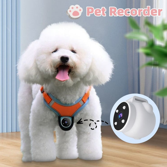 Pet Collar Camera with Motion Recorder